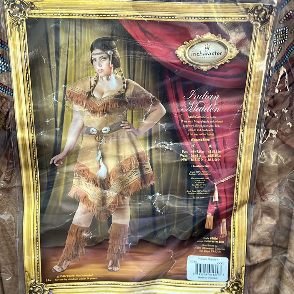 Full Indian Maiden plus size Halloween costume
